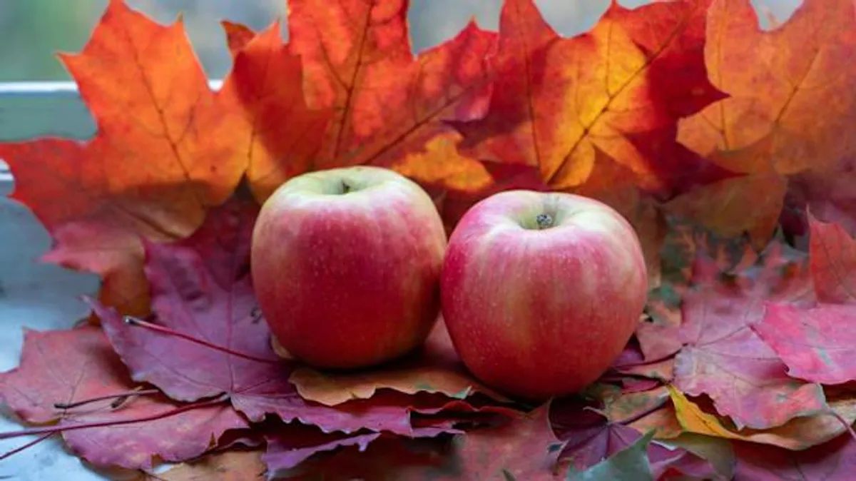 A photo of two apples, indicating a useful pairwise comparison